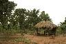 Une cabane en bois de Misserete (Bénin)